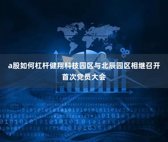 a股如何杠杆健翔科技园区与北辰园区相继召开首次党员大会