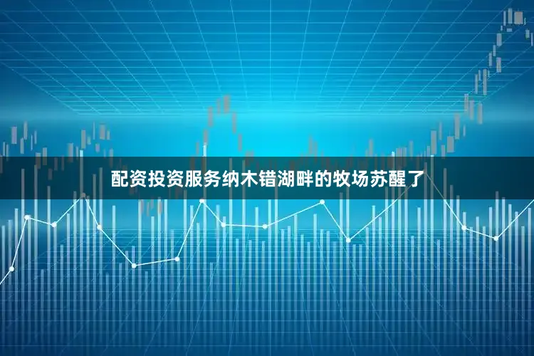配资投资服务纳木错湖畔的牧场苏醒了