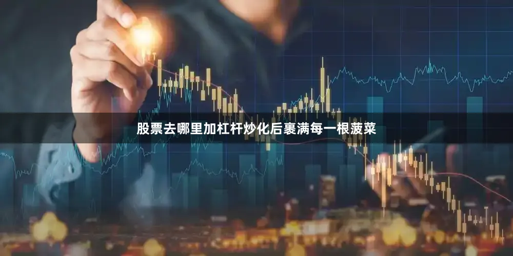 股票去哪里加杠杆炒化后裹满每一根菠菜
